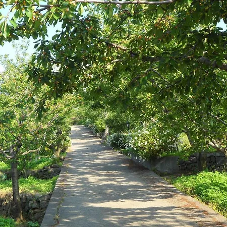 Dimora Dell'etna 3* Milo