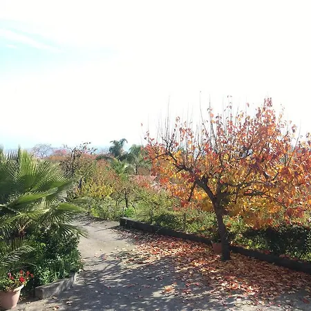 Couette-café Dimora Dell'etna Milo