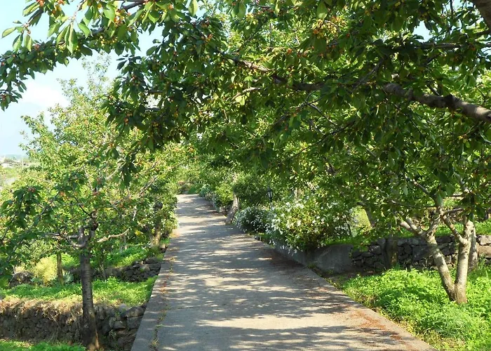 Dimora Dell'etna 3* 米罗